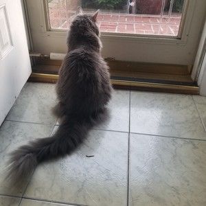 Meet your Posher, Audreen